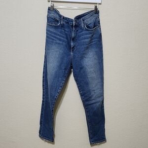 Joe's Jeans Women's Skinny Jeans - Blue